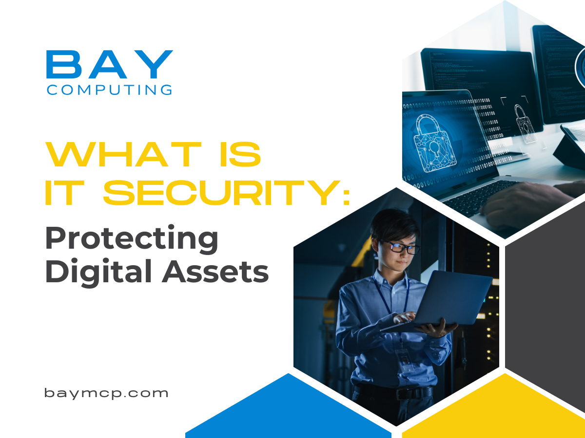 What Is IT Security Protecting Digital Assets