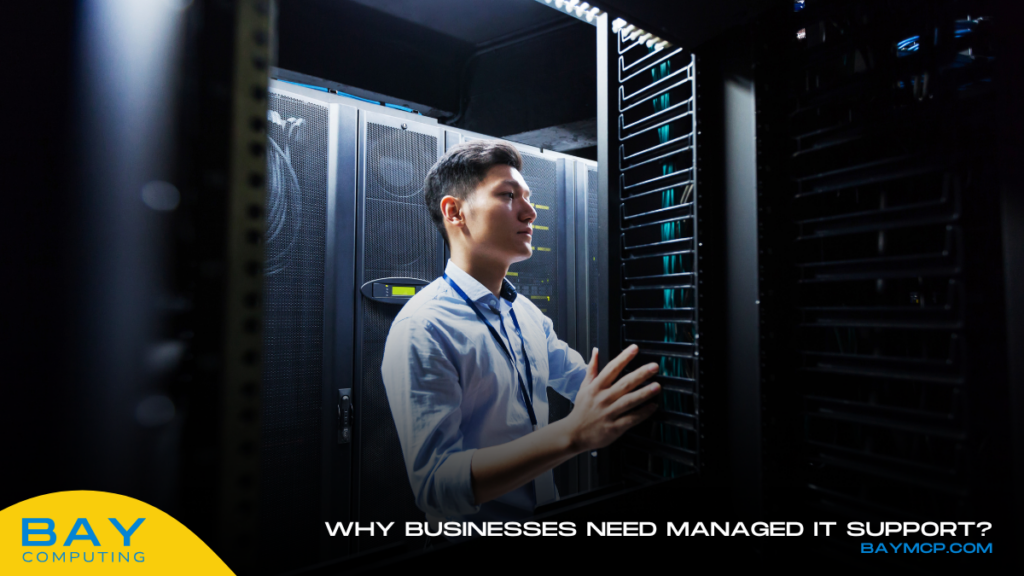 Data Management and Backup Solutions