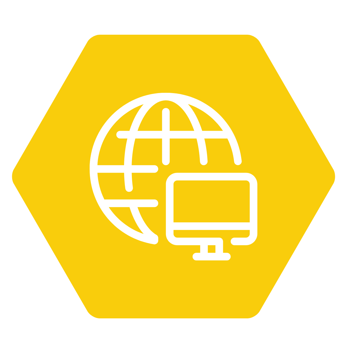Computer with globe icon